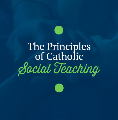 The Principles of Catholic Social Teaching
